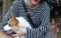 加藤鹰专业培训班